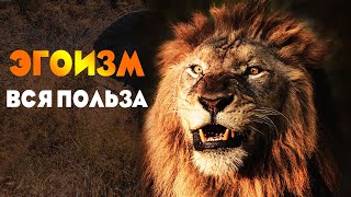 БУДЬ ЭГОИСТОМ. Какая польза разумного эгоизма для человека?