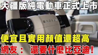 大疆版純電動車正式上市，便宜且實用顏值還超高，網友：還要什麼比亞迪！#汽車 #电动汽车 #熱門 #車 #電動車 #科普 #試駕 #新能源汽車