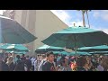 🔴 live park hopping hollywood studios magic kingdom epcot luminous at walt disney world 1 28 2025