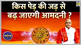 Kaalchakra: किस पेड़ की जड़ से बढ़ जाएगी आमदनी…दूर होगी हर परेशानी ? पेड़ों की जड़ों से बदलें किस्मत