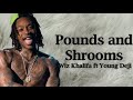 Wiz Khalifa - Pounds and Shrooms ft Young Deji (Lyrics)