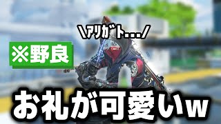 行動全てが可愛い野良さん【APEX】