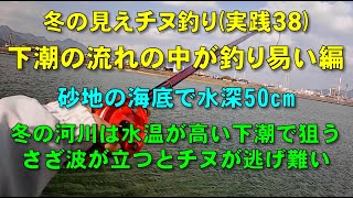 見えチヌ釣り（実践３８）冬場の河川で砂地の海底に居るチヌは下げ潮で流れが速くなり活性が高くなる時に狙う【前打ち／ヘチ釣り／落とし込み／河川／クロダイ／黒鯛／カニ／釣り方／テクニック】