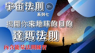 【宇宙法則】揭開你來物質界的目的｜宇宙法則七、達瑪法則〈人生真諦〉The Law of Dharma｜七條宇宙法則物質界的秘密通道