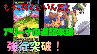 【ＤＱＭＳＬ】ドラゴンクエストモンスターズスーパーライト　アリーナの道　襲来級　クリアへの道　おまけつき