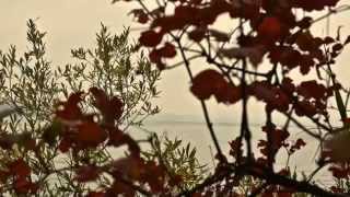 Herbstzauber Sempachersee © artbrun SD 480p