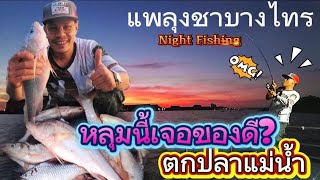 🎣 ep-74 ตกปลาหน้าดิน แม่น้ำเจ้าพระยา งัดปลาม้าด้วยลูกกุ้ง แพลุงชาบางไทร