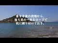 新たなステージへの上昇の前後で体験する「落とし穴」「揺り戻し」に注意！引き寄せにつきものの揺り戻しとは　宇宙のお試しに負けない方法　揺り戻しが起こる理由は潜在意識にある　揺り戻しはどんな形で現れる