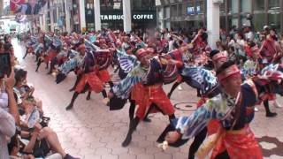 高松よさこい連　～2016高知よさこい祭り・全国大会(帯屋町筋会場)