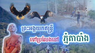 ព្រះអង្គឲ្យយកសត្វឥន្ទ្រីប្រលែងភ្នំតាបាំង#ព្រះអង្គវនវាសីច័ន្ទមុនី #នាគរាជtv #នៅវត្តតាសុត