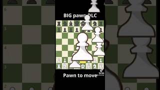 New BIG Pawn DLC #chess