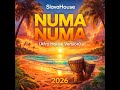 SlavaHouse - Numa Numa (Afro House Version)