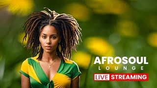 African Relaxing Music for Stress Relief – Live Music Stream