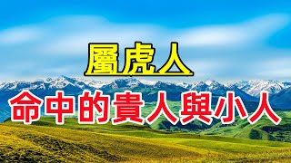 【十二生肖】屬虎人：命中的貴人與小人！