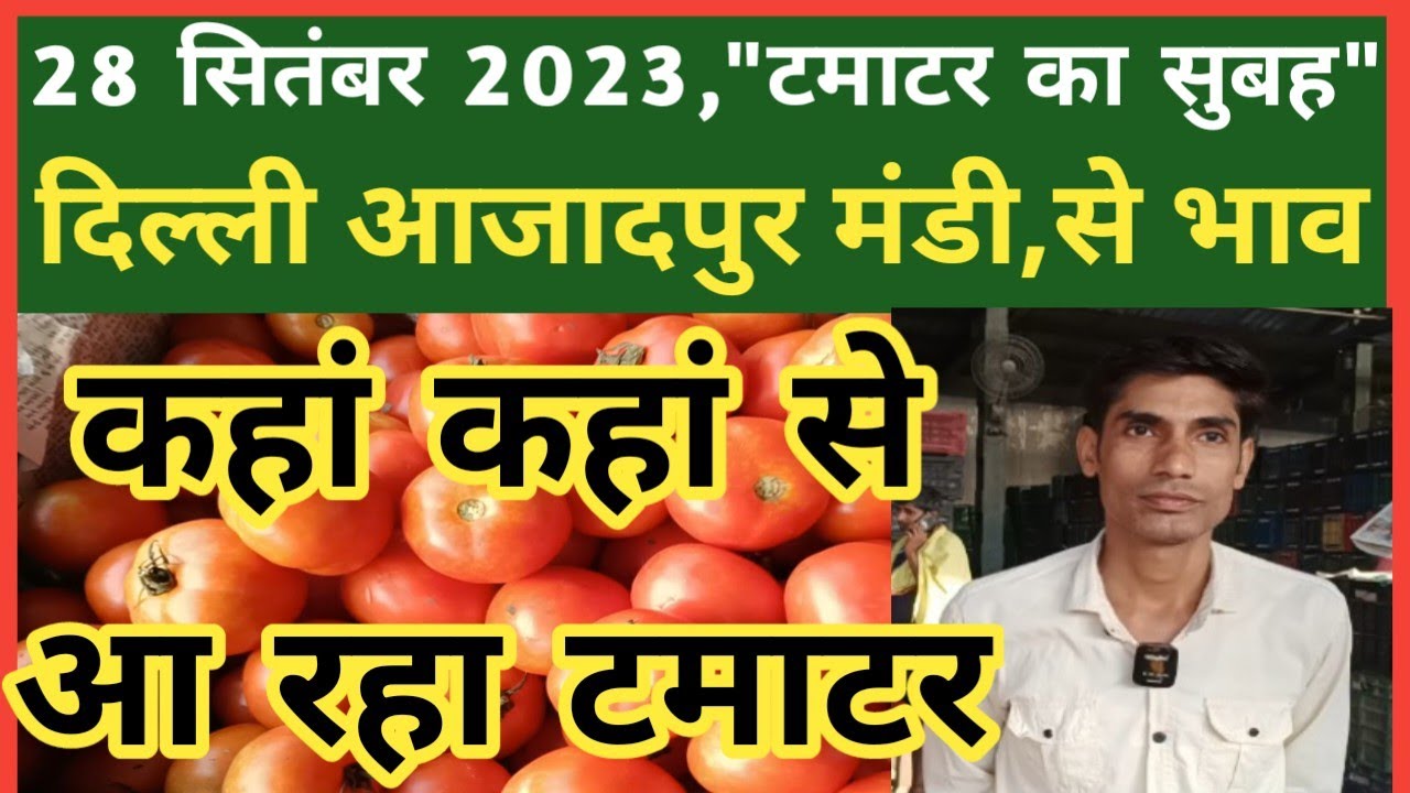 28 सितंबर 2023, "टमाटर का सुबह" होलसेल भाव, Tomato Wholesale Price ...