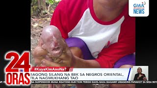 Bagong silang na biik sa Negros Oriental, tila nagmukhang tao | 24 Oras