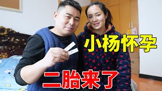 【超小厨】36岁大龄宝妈怀二胎，喜当爹：小杨终于又怀孕了，老公却开始担心啦