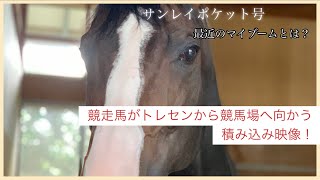 【高橋義忠TV】競走馬がトレセンから競馬場へ向かう積み込み映像