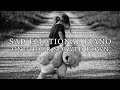 Sad Emotional Piano (Slowed Down) - One Hour Version - Free To Use Background Music