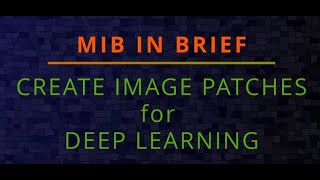 MIB Brief: Generation of patches for deep learning segmentation