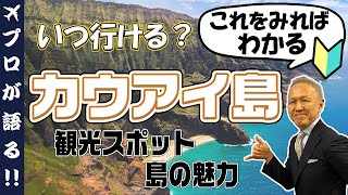 【旅行会社が語る】~カウアイ島初心者向け~これを見ればわかるカウアイ島！おすすめの観光スポットも徹底解説♪ハワイの離島ガイド