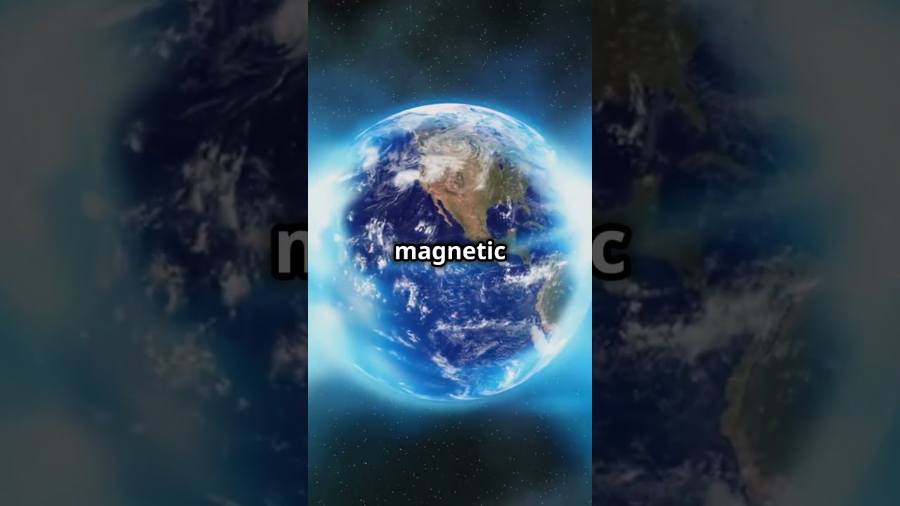 How Animals Use Earth's Magnets to Navigate! #shorts