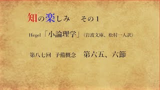 087小論理学 予備概念 第六五、六節