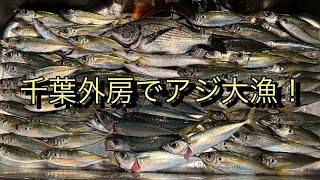 千葉県外房の海でアジ大漁＆アジ御膳