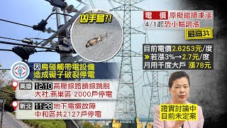 【每日必看】高雄大社.燕巢2000戶停電 元凶竟是\