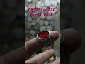 Merahnya enak batu akik anggur bergiwang cristal cempaka merah#batuakikindonesia #gemstonejewellery