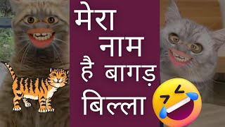 Mera naam hai bagad billa|बागड़ बिल्ला कॉमेडी 🤣😻|#funny #comedy #bagadbilla