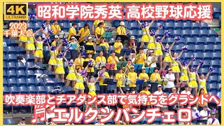 昭和学院秀英 高校野球応援「エル・クンバンチェロ」吹奏楽部とチアダンス部で思いをグランドへ（千葉県高校野球応援2023）