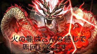 隠しキャラ（キョザンサイ）周回【パズドラ】