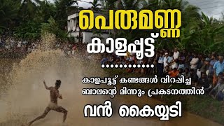 പെരുമണ്ണ കാളപ്പൂട്ട് | കാളപ്പൂട്ട് കണ്ടങ്ങൾ വിറപ്പിച്ച ബാലന്റെ മിന്നും പ്രകടനം #kalapoot #perumanna