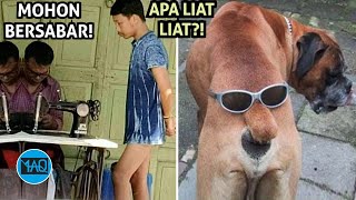 TAHAN TAWA?! Kejadian Lucu Ketika Makhluk Bumi Menampakkan Tingkah Kocaknya!