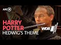 Harry Potter - Hedwig's Theme - John Williams | WDR Funkhausorchester