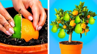 Simple But Genius Ideas And Hacks For Plants