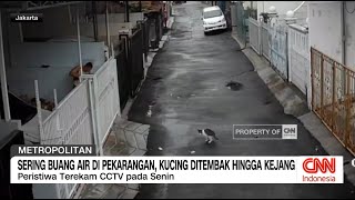 Sering Buang Air di Pekarangan, Kucing Ditembak Hingga Kejang