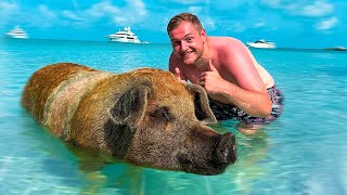 🔥🐷Mit SCHWEINEN schwimmen! | BAHAMAS Urlaub VLOG! #1