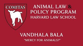 04/06/16 - Vandhana Bala  "Mercy for Animals?"