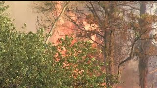 Brush fire breaks out in Immokalee