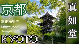 【京都 / KYOTO】真如堂（真正極楽寺） / Shinnyodo Temple