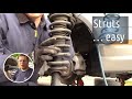 2012 Ford Fusion Struts