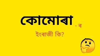 কোমোৰা - ৰ ইংৰাজী কি? || Assamese to English vocabulary || English word's meaning