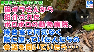 501【視聴者さんの猫のいい話】猫ボラさんから紹介されたボロボロの動物病院。待合室で何気なく隣に座っていた人たちの会話を聞いていたら・・・