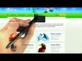 Building A Web Browser - Programming Languages