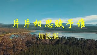 古筝1演奏太极拳音乐《片片相思赋予谁》加长版，旋律优美