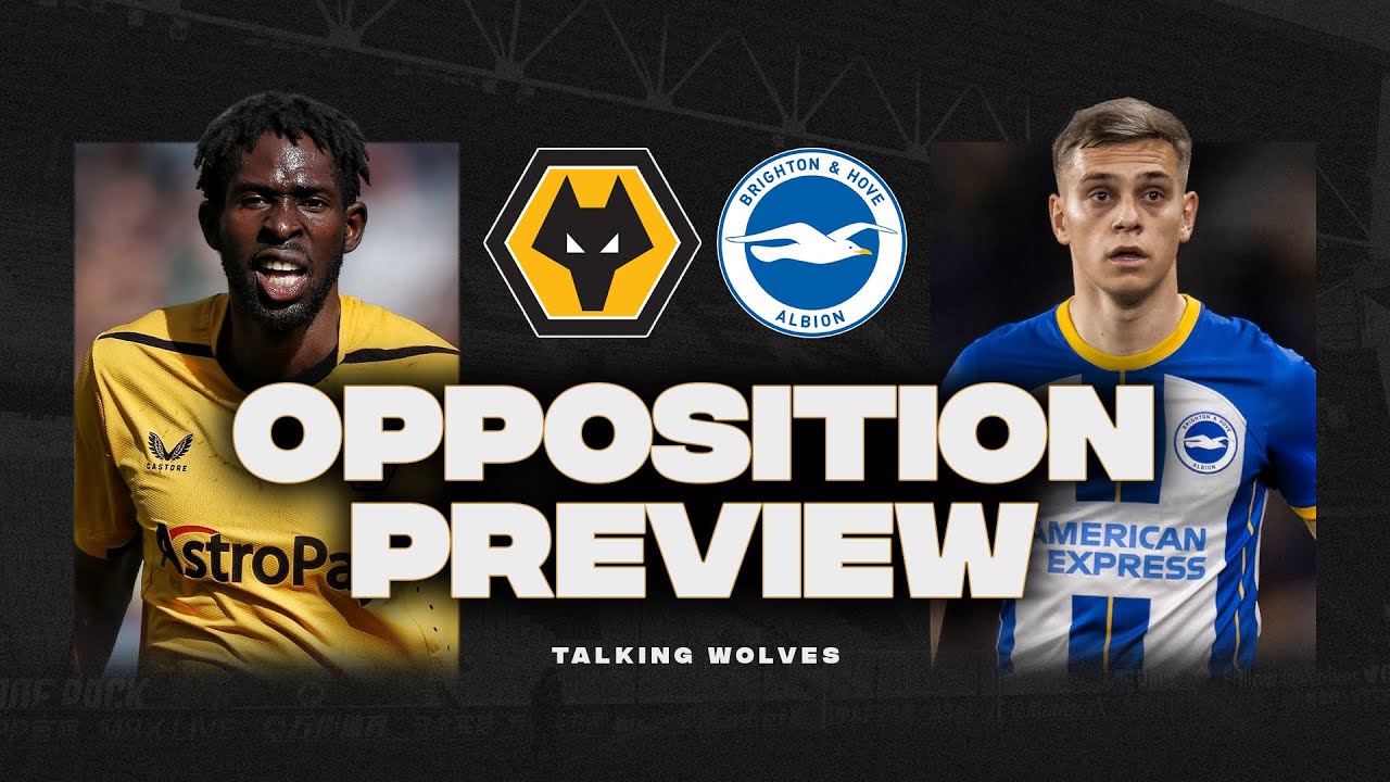 Wolves Vs Brighton & Hove Albion - Opposition Preview - YouTube