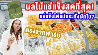 ผลไม้แช่แข็งสดที่สุด! ตรงจากฟาร์ม แช่แข็งได้แม้กระทั่งผักใบ?  Thakolsri Farm | Swana On Tour EP.14