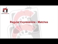 Regular Expression Matches - Delphi #142